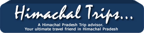 Himachal Trips